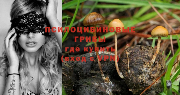 бошки Аркадак