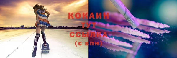 бошки Аркадак