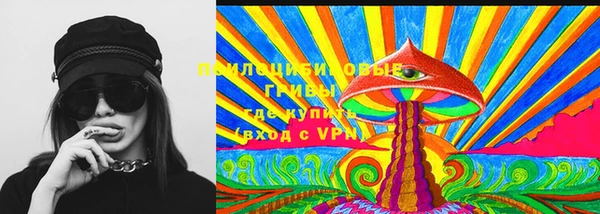 крисы Алзамай