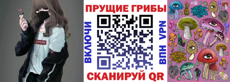 Галлюциногенные грибы Psilocybe Армянск